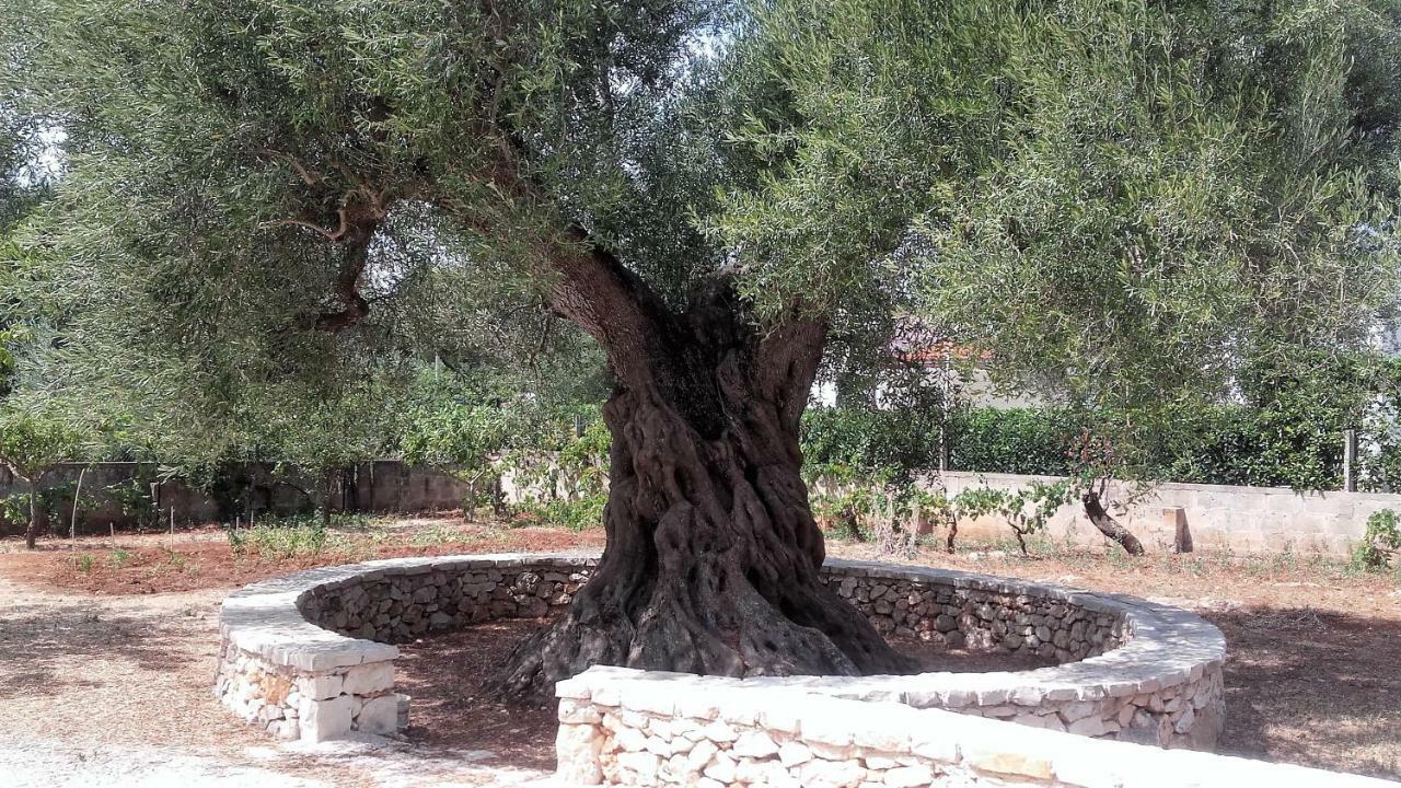 شقة Casa Polinisso كاروفينيو المظهر الخارجي الصورة